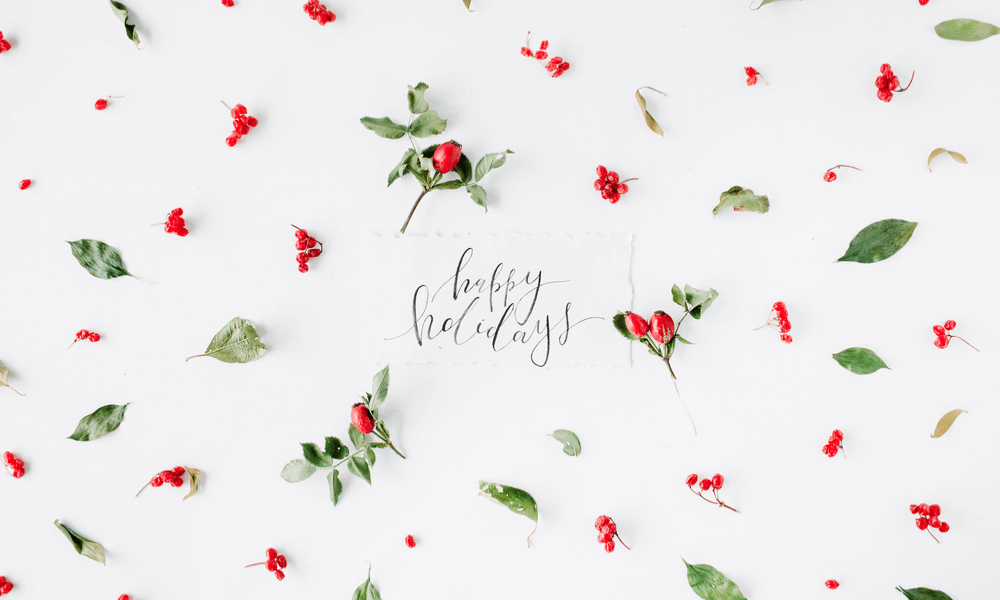 5 plantas para regalar estas navidades