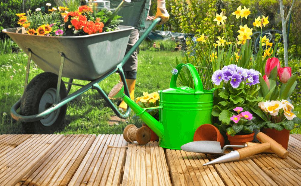 evitar jardin alergia