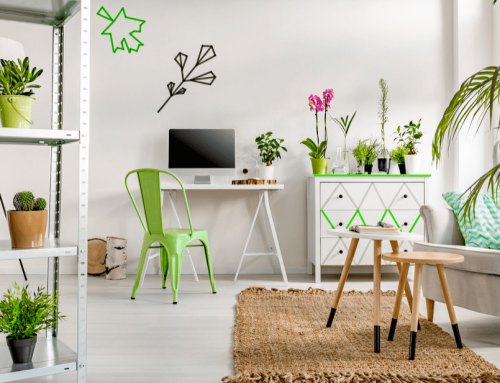 Plantas de interior que pueden causar alergia: cuáles evitar en casa