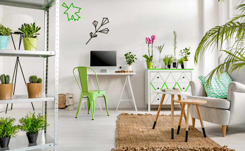 alergia plantas interior