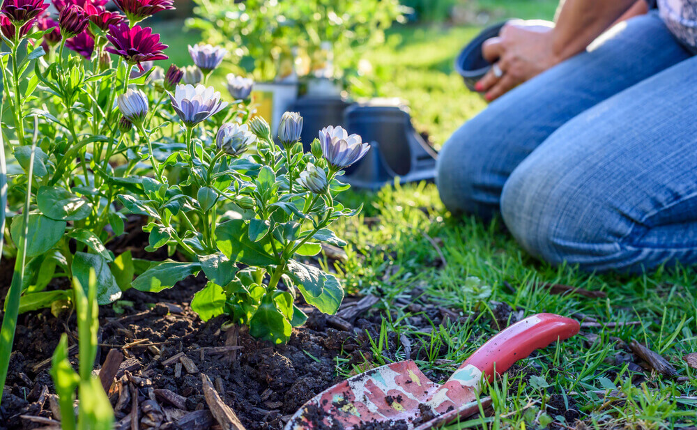 consejos para la primavera