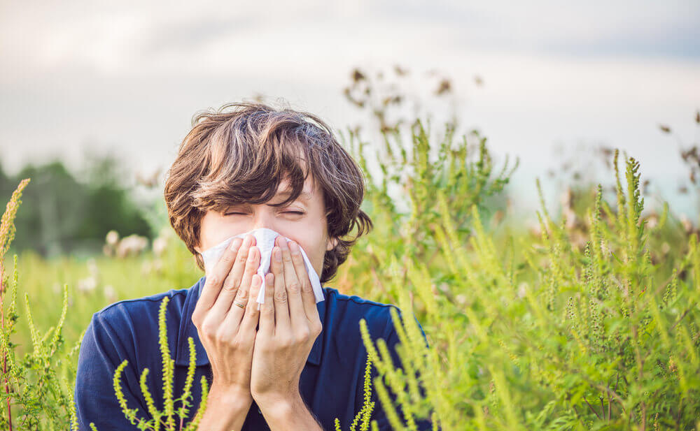 curiosidades alergia primaveral
