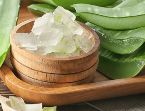 Aloe vera para problemas de las vías respiratorias