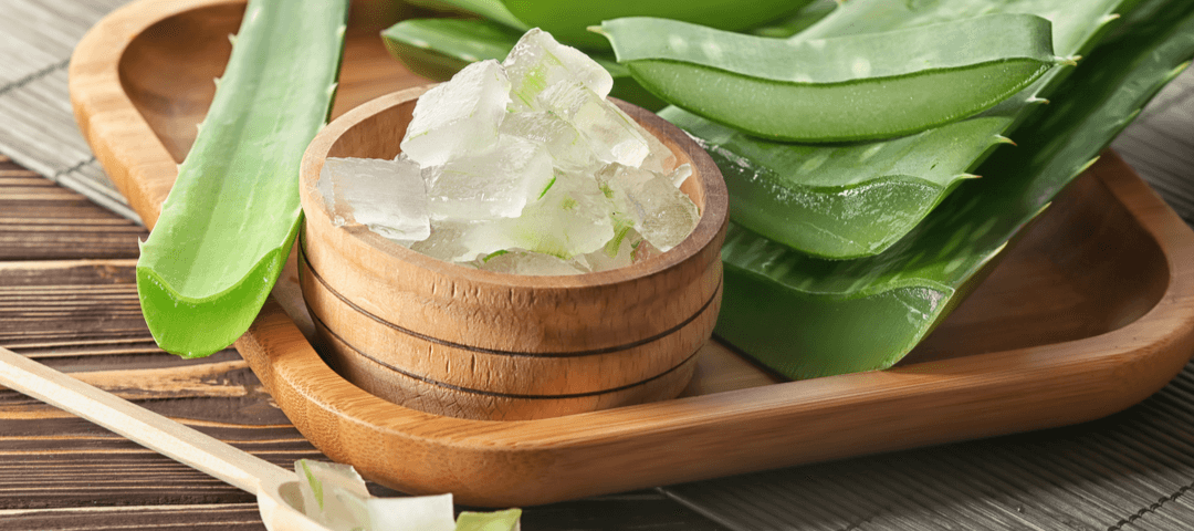 aloe vera