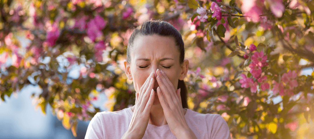 Árboles que dan alergia: ¿Cuáles son los principales?