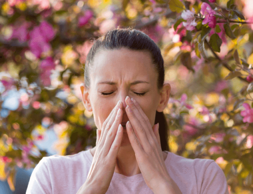 Árboles y plantas de exterior que producen alergia en primavera