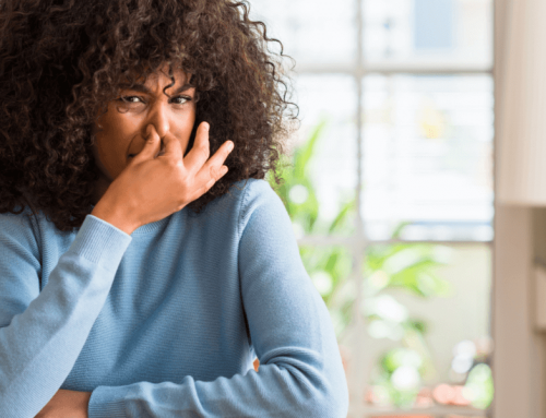 Hiperosmia: El aumento de la sensibilidad olfativa